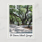 St Simons GA Wandereiche Tree Postkarte (Vorderseite)