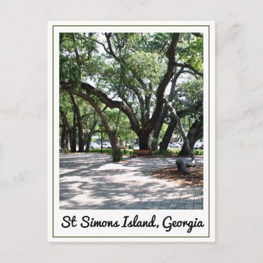 St Simons GA Wandereiche Tree Postkarte (Vorderseite)