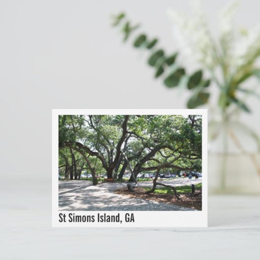 St Simons GA Wandereiche Tree Postkarte (Stehend Vorderseite)