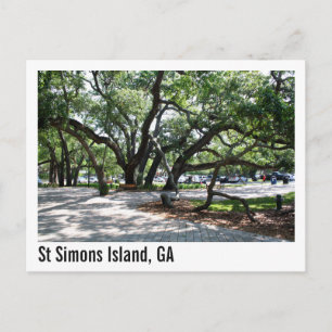 St Simons GA Wandereiche Tree Postkarte