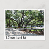 St Simons GA Wandereiche Tree Postkarte (Vorderseite)