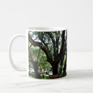 St Simons Island GA Wanderung Eiche Foto Kaffeetasse