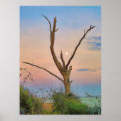 St. Simons Island Georgia Beach Sunset and Moon Poster (Vorne)