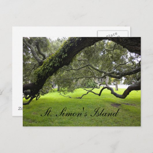 St. Simon's Island Travel Postcard Postkarte (Vorne/Hinten)