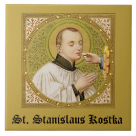 St. Stanislaus Kostka (SNV 25; SquareImage) Tile 2 Fliese
