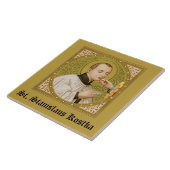 St. Stanislaus Kostka (SNV 25; SquareImage) Tile 2 Fliese (Seite)