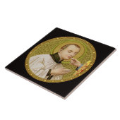 St. Stanislaus (SNV 25) (Rundbild) Tile 3 Fliese (Seite)