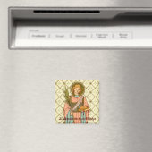 St. Stephan der ProtoMartyrer (RLS 17) Magnet (In Situ (Geschirrspüler))