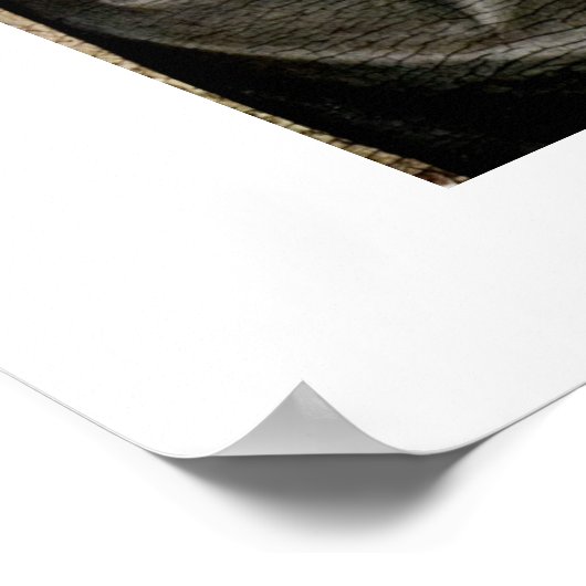 St. Stephen By Giotto Di Bondone Poster (Ecke)