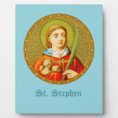 St. Stephen (SNV 26) (Square Image) 8"x10" Fotoplatte (Vorderseite)