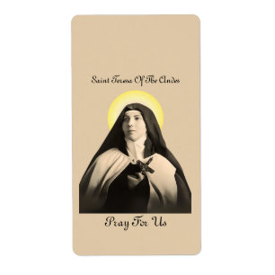 ST. TERESA DER ANDES
