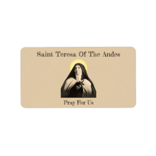 ST. TERESA DER ANDES ADRESSAUFKLEBER
