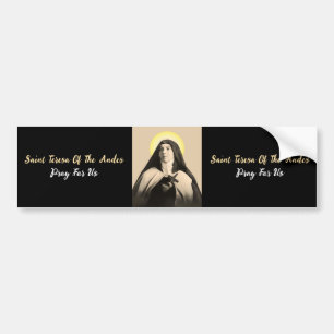 ST. TERESA DER ANDES AUTOAUFKLEBER