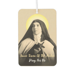 ST. TERESA DER ANDES AUTOLUFTERFRISCHER