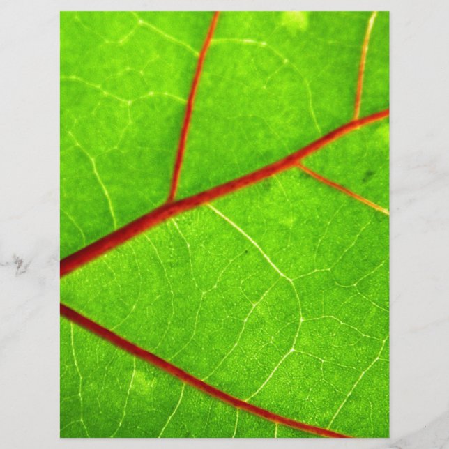 St Thomas 1 (Vorderseite)