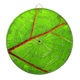 St Thomas 1 Dartscheibe