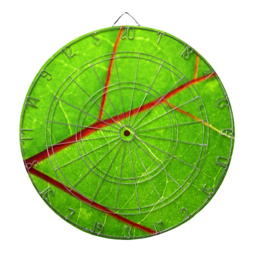 St Thomas 1 Dartscheibe (vorne)