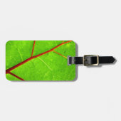 St Thomas 1 Gepäckanhänger (Vorderseite horizontal)