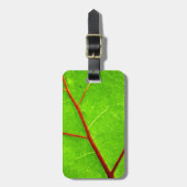 St Thomas 1 Gepäckanhänger (Vorderseite vertikal)