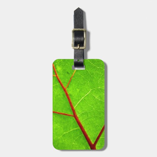 St Thomas 1 Gepäckanhänger (Vorderseite vertikal)