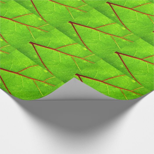 St Thomas 1 Geschenkpapier (Ecke)