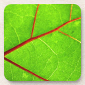 St Thomas 1 Getränkeuntersetzer (Vorderseite)