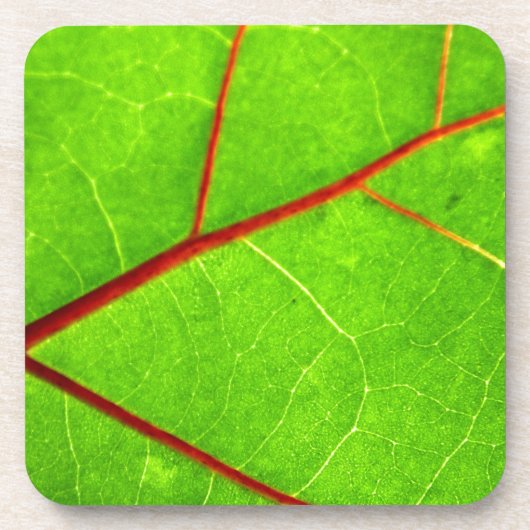 St Thomas 1 Getränkeuntersetzer (Vorderseite)