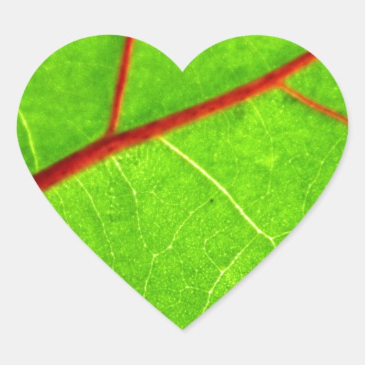 St Thomas 1 Herz-Aufkleber (Vorderseite)