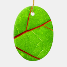 St Thomas 1 Keramikornament