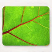 St Thomas 1 Mousepad (Vorne)
