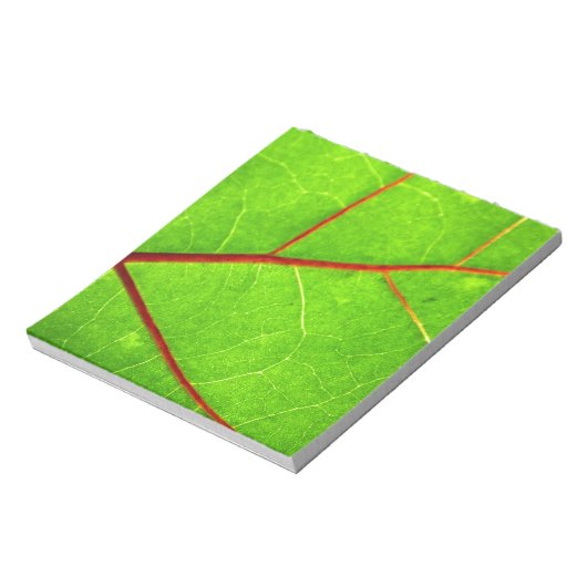 St Thomas 1 Notizblock (Rotiert)