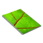 St Thomas 1 Notizblock (Rechte Seite)