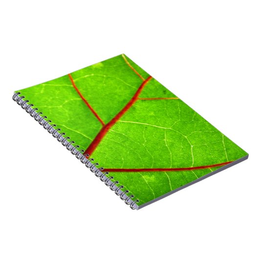 St Thomas 1 Notizblock (Rechte Seite)