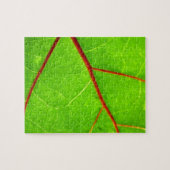 St Thomas 1 Puzzle (Horizontal)