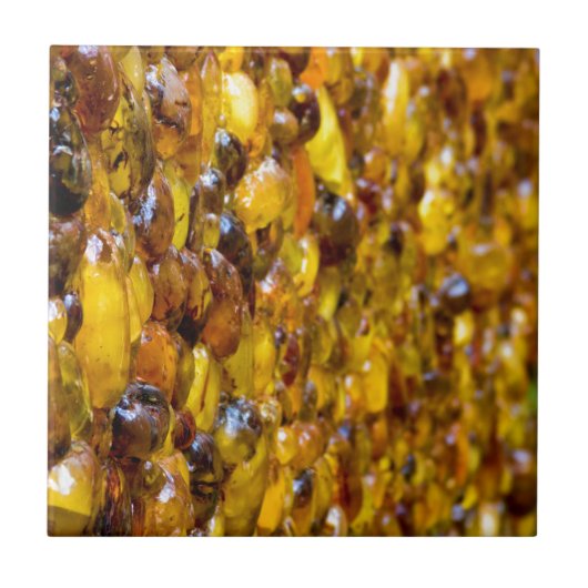 St Thomas 2 Fliese (Vorderseite)