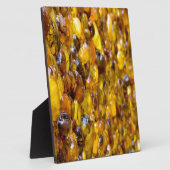 St Thomas 2 Fotoplatte (Seite)