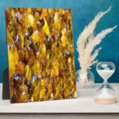 St Thomas 2 Fotoplatte (Seite)