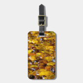 St Thomas 2 Gepäckanhänger (Vorderseite vertikal)