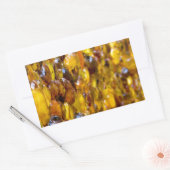 St. Thomas 2 Rechteckiger Aufkleber (Umschlag)