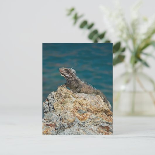 St. Thomas , Iguana Postkarte (Stehend Vorderseite)