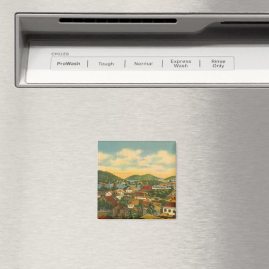 St Thomas Magnet (In Situ (Geschirrspüler))