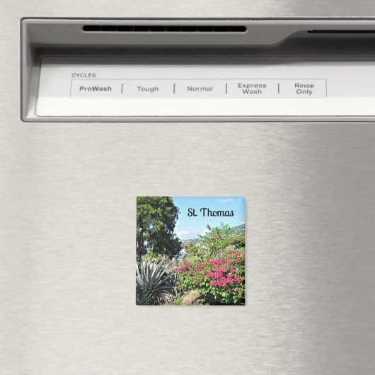 St. Thomas Magnet (In Situ (Geschirrspüler))