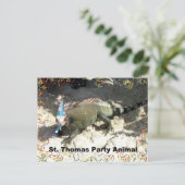 St. Thomas Party Animal! Postkarte (Stehend Vorderseite)