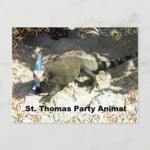 St. Thomas Party Animal! Postkarte