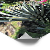 St. Thomas Poster (Ecke)