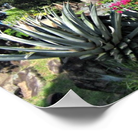 St. Thomas Poster (Ecke)