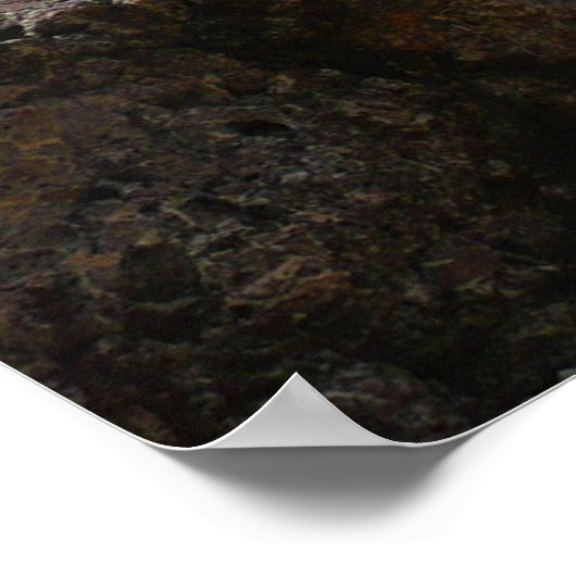 St. Thomas Rocky Beach Poster (Ecke)