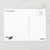 St. Thomas Rocky Beach Postkarte (Rückseite)