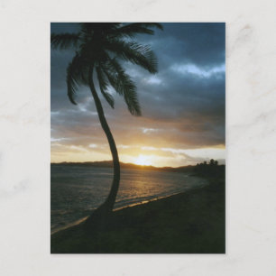 St. Thomas Sunset Postcard Postkarte