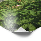 St. Thomas, US Jungfrau Islands. Charlotte Fotodruck (Ecke)